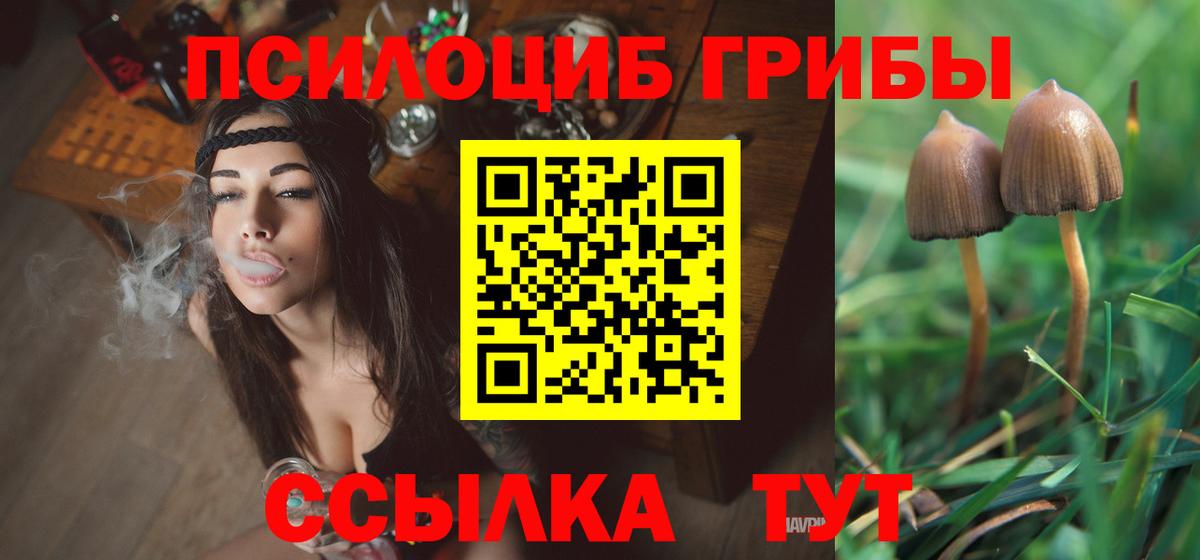 Псилоцибиновые грибы GOLDEN TEACHER  Вход с VPN  закладки  Новочебоксарск  Псилоцибиновые грибы Cubensis 